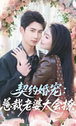 契约婚宠总裁老婆太会撩