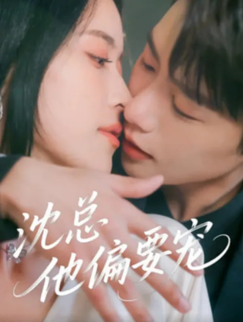 沈总他偏要宠