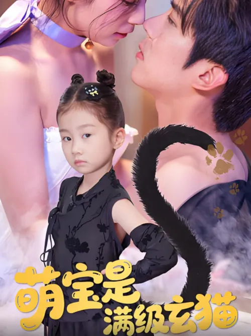 萌宝是满级玄猫