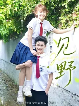 见野