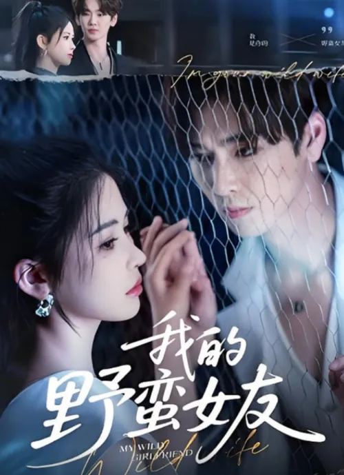 我的野蛮女友