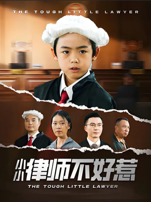 小小律师不好惹