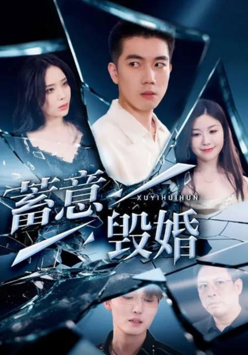 蓄意毁婚