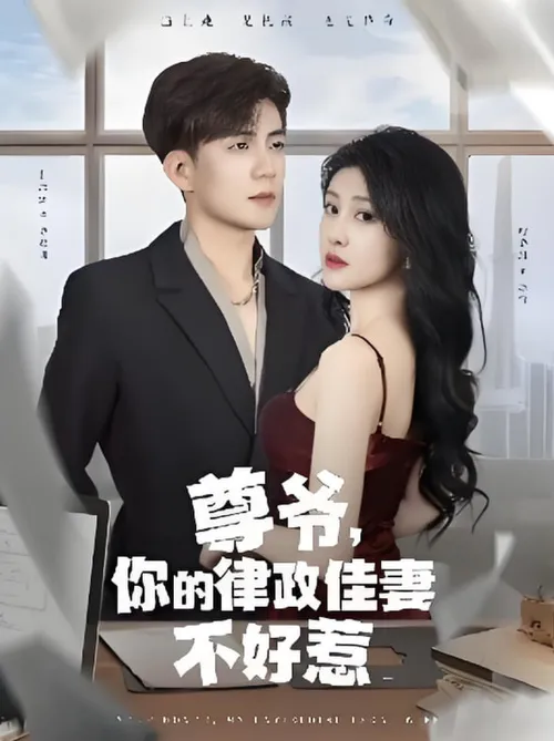 尊爷你的律政娇妻不好惹