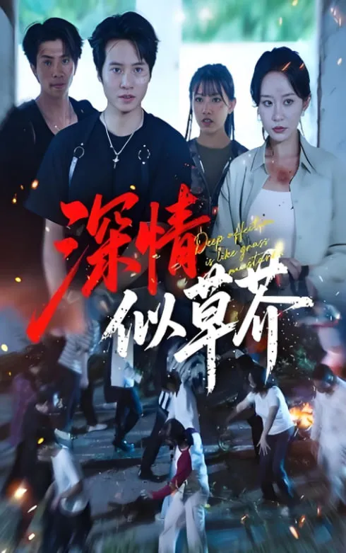 深情似草芥