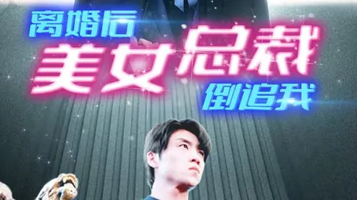新离婚后美女总裁倒追我