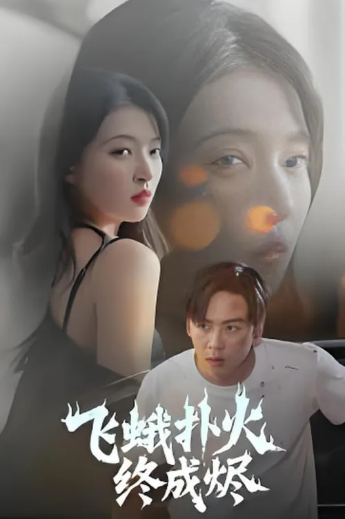 飞蛾扑火终成烬