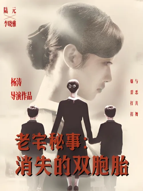 老宅秘事消失的双胞胎（消失的孩子）