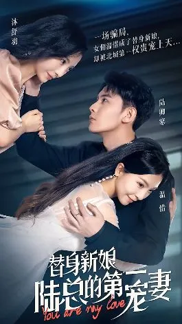 替身新娘陆总的第一宠妻
