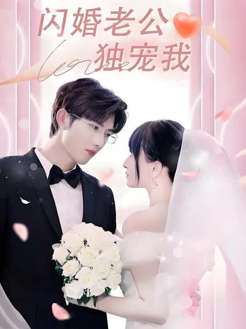 闪婚老公独宠我
