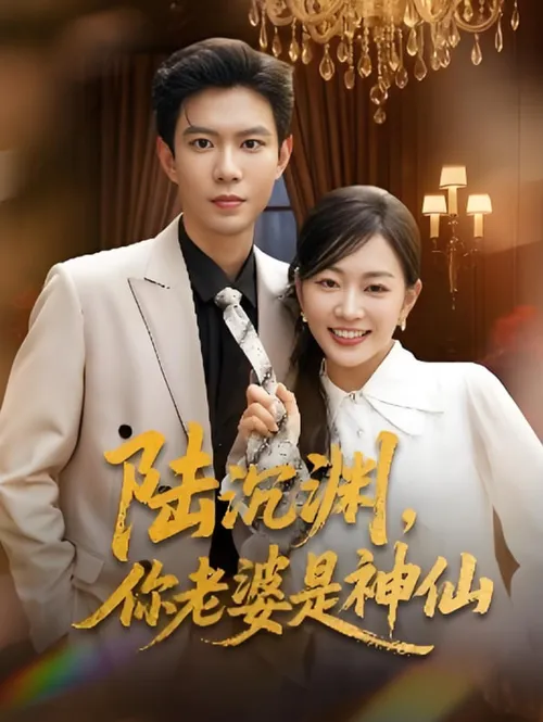 陆沉渊,你老婆是神仙