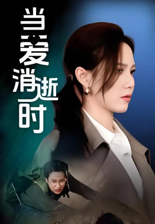 当爱消逝时