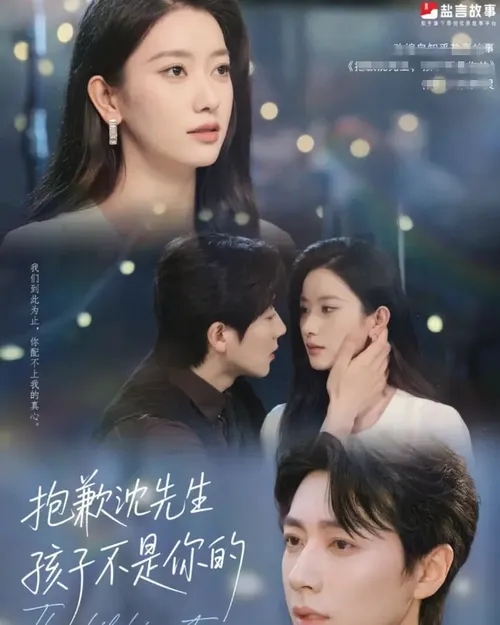 抱歉沈先生孩子不是你的