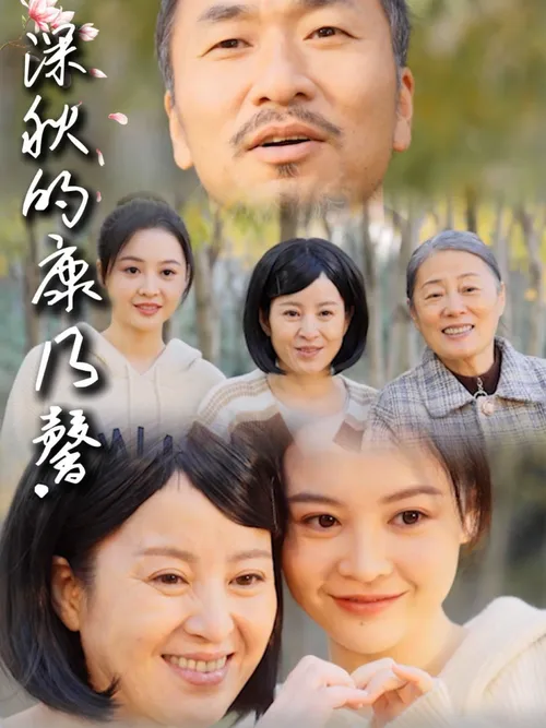 深秋的康乃馨