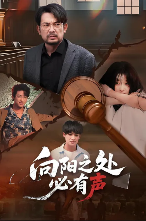向阳之处必有声