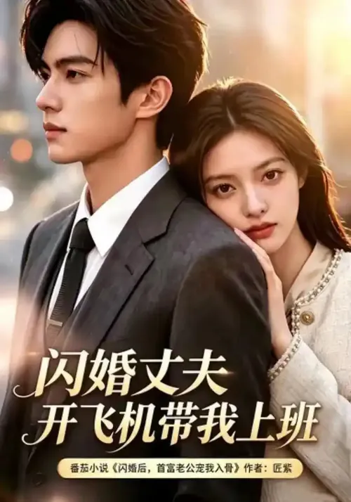 闪婚丈夫，开飞机带我上班第3季