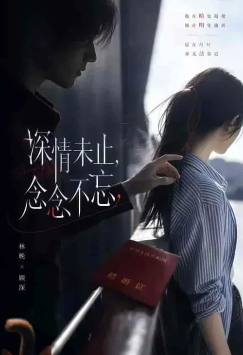 深情未止，念念不忘