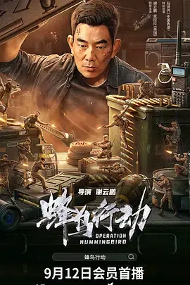 蜂鸟行动