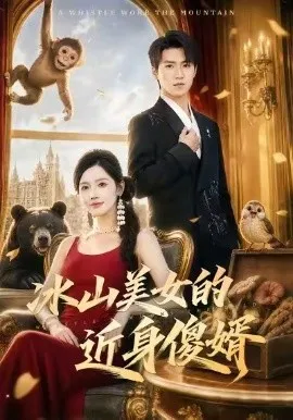 冰山美女的近身傻婿