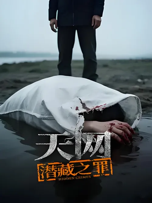 天网潜藏之罪